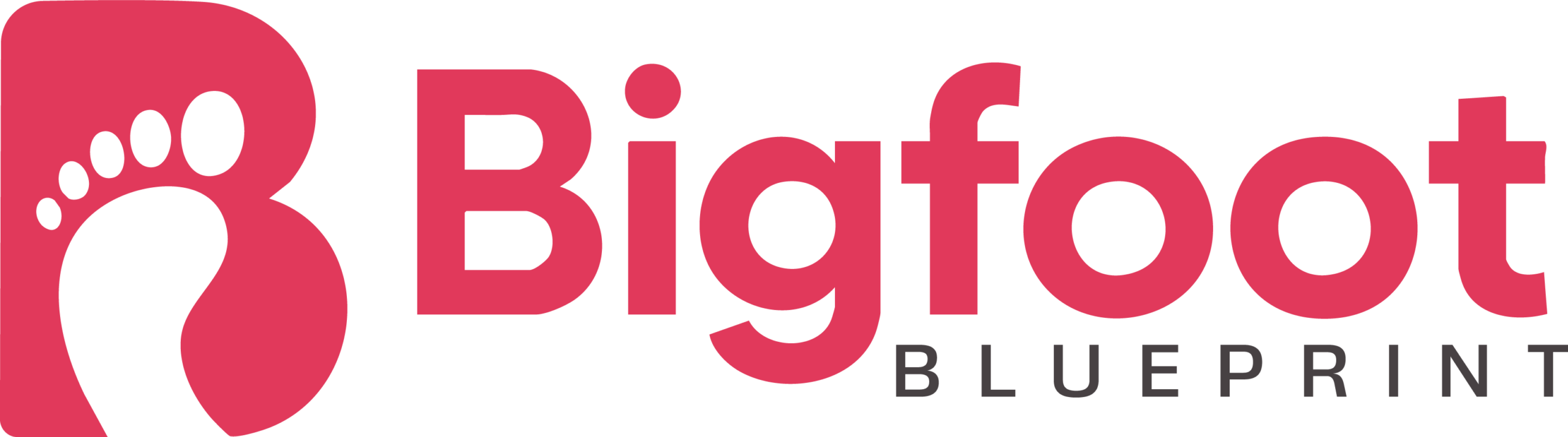 https://tintatlas.com/wp-content/uploads/2026/05/cropped-bigfoot-logo03@2x-scaled-1.png